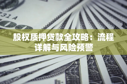 北京股权质押贷款全攻略：流程详解与风险预警