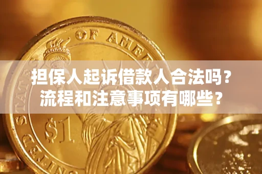 北京担保人起诉借款人合法吗？流程和注意事项有哪些？