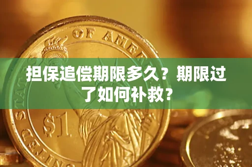 北京担保追偿期限多久？期限过了如何补救？