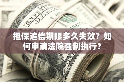 北京担保追偿期限多久失效？如何申请法院强制执行？