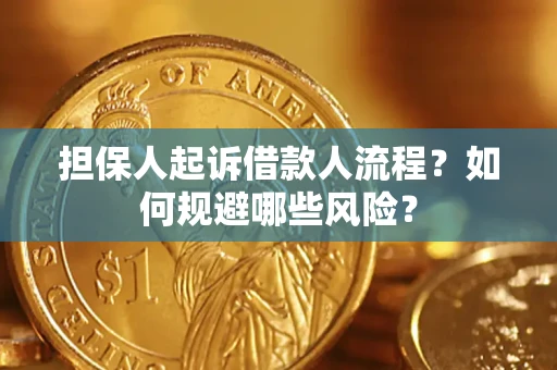 北京担保人起诉借款人流程？如何规避哪些风险？
