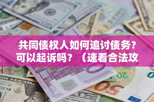 北京共同债权人如何追讨债务？可以起诉吗？（速看合法攻略）
