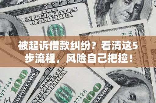 北京被起诉借款纠纷？看清这5步流程，风险自己把控！